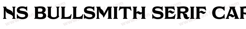 NS Bullsmith Serif Capital字体转换